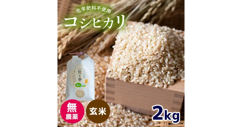 【ふるさと納税】 無農薬 ・ 化学肥料不使用 コシヒカリ(玄米) 2kg （10月中旬以降の発送） ｜ 有機農産物認証推進協会認定 玄米 お米 米 こしひかり 無農薬 美祢市 山口県 秋芳 カルスト台地 湧き水 ミネラル 結び家 くらとも