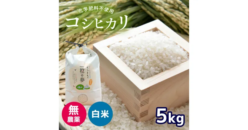 【ふるさと納税】 無農薬 ・ 化学肥料不使用 コシヒカリ 5kg （10月中旬以降の発送） ｜ 有機農産物認証推進協会認定 精米 お米 米 こしひかり 美祢市 山口県 秋芳 カルスト台地 湧き水 ミネラル 結び家 くらとも