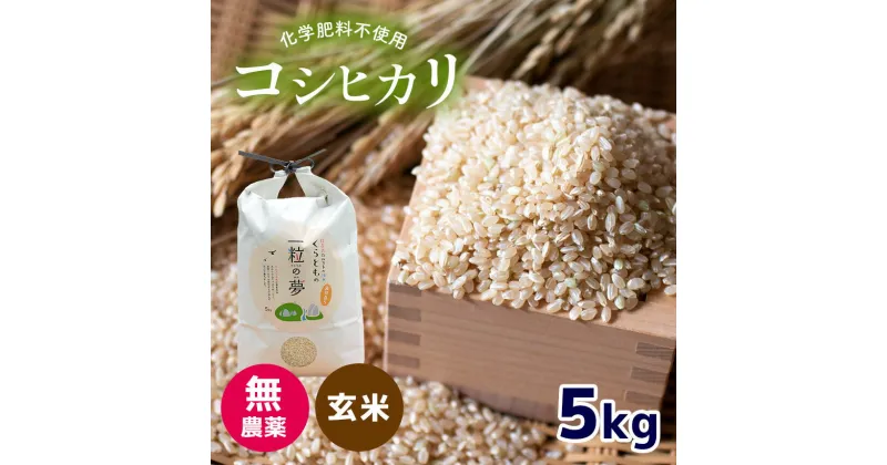 【ふるさと納税】 無農薬 ・ 化学肥料不使用 コシヒカリ(玄米) 5kg（10月中旬以降の発送） ｜ 有機農産物認証推進協会認定 玄米 お米 米 こしひかり 美祢市 山口県 秋芳 カルスト台地 湧き水 ミネラル 結び家 くらとも