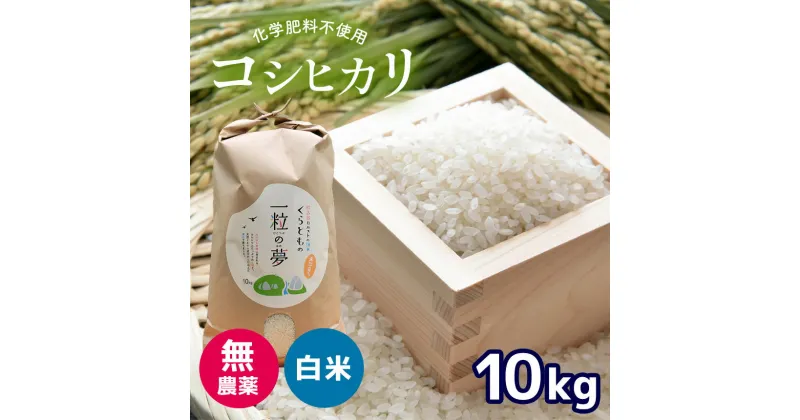 【ふるさと納税】 無農薬 ・ 化学肥料不使用 コシヒカリ 10kg （10月中旬以降の発送）｜ 有機農産物認証推進協会認定 精米 お米 米 こしひかり 美祢市 山口県 秋芳 カルスト台地 湧き水 ミネラル 結び家 くらとも