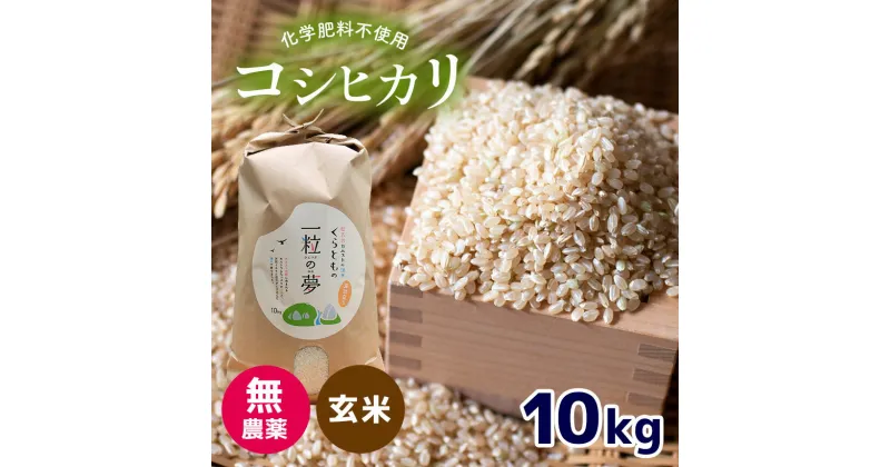 【ふるさと納税】 無農薬 ・ 化学肥料不使用 コシヒカリ(玄米) 10kg （10月中旬以降の発送）｜ 有機農産物認証推進協会認定 玄米 お米 米 こしひかり 美祢市 山口県 秋芳 カルスト台地 湧き水 ミネラル 結び家 くらとも