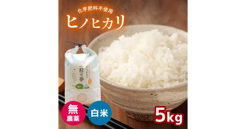 【ふるさと納税】 無農薬・化学肥料不使用 ヒノヒカリ 5kg （11月以降の発送）｜ 精米 お米 米 ひのひかり 無農薬 化学肥料不使用 美祢市 山口県 秋芳 カルスト台地 湧き水 ミネラル 結び家 くらとも