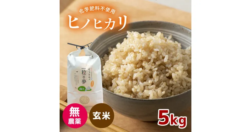 【ふるさと納税】 無農薬 ・ 化学肥料不使用 ヒノヒカリ(玄米) 5kg（11月以降の発送） ｜ 有機農産物認証推進協会認定 玄米 お米 米 ひのひかり こだわり 美祢市 山口県 秋芳 カルスト台地 湧き水 ミネラル 結び家 くらとも