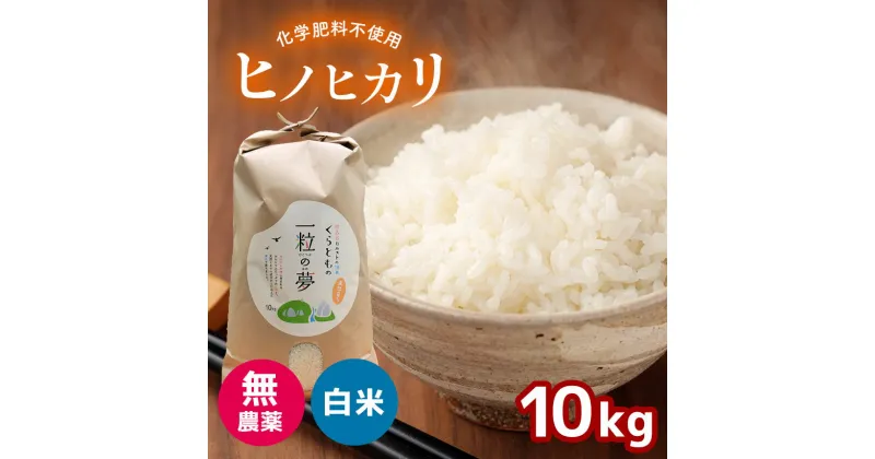 【ふるさと納税】 無農薬 ・ 化学肥料不使用 ヒノヒカリ 10kg（11月以降の発送） ｜ 有機農産物認証推進協会認定 精米 お米 米 ひのひかり こだわり 美祢市 山口県 秋芳 カルスト台地 湧き水 ミネラル 結び家 くらとも