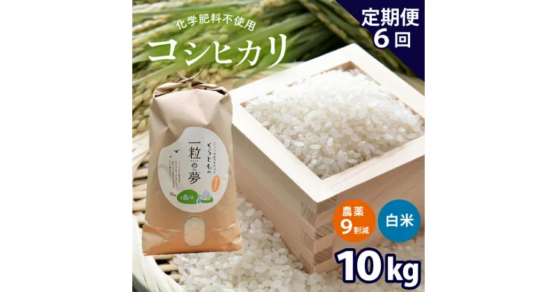 【ふるさと納税】【定期便6回】 農薬9割減・化学肥料不使用 コシヒカリ 10kg×6(1ヵ月毎×6回)｜ 有機農産物認証推進協会認定 精米 お米 米 こしひかり 農薬減 美祢市 山口県 秋芳 カルスト台地 湧き水 ミネラル 結び家 くらとも