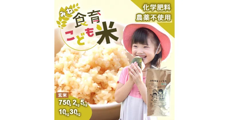 【ふるさと納税】みね食育こども米 玄米 (750g 2kg 5kg 10kg 30kg)　先行予約＜9月下旬以降 発送予定＞| 山口県 山口 美祢 楽天ふるさと ふるさと 納税 支援品 返礼品 支援 返礼 米 国産 玄米 食育 農薬不使用 健康 有機 ご当地 お土産 名産品 特産品 土産