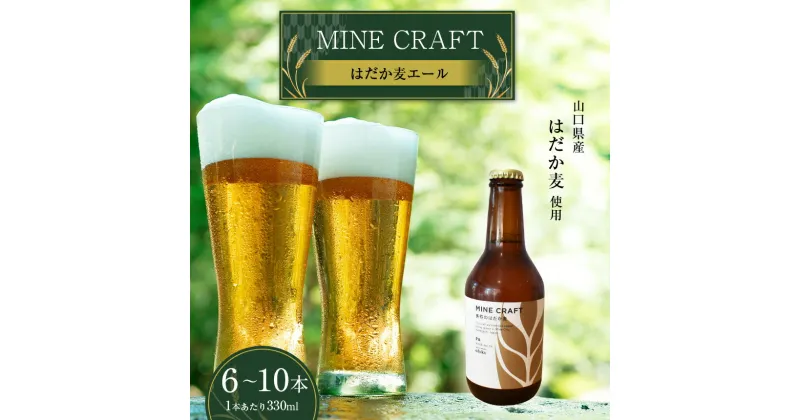 【ふるさと納税】 美祢産 はだか麦でつくった地ビール 『はだか麦エール』 ｜ 麦 地ビール ビール クラフトビール 酒 はだか麦 麦芽 ヘルシーフード 山口 美祢 特産品 秋吉台