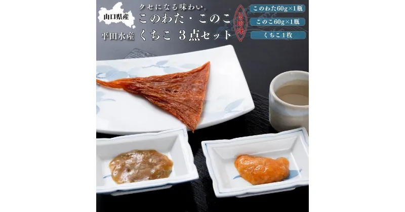 【ふるさと納税】山口県産このわた・このこ・くちこ3点セット | 山口県 周南市 山口 周南 楽天ふるさと 納税 支援品 支援 返礼品 返礼 お取り寄せグルメ 取り寄せ グルメ お取り寄せ このわた おつまみ つまみ なまこ ナマコ 酒の肴