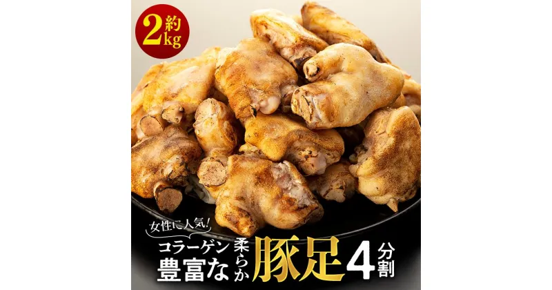 【ふるさと納税】女性に人気！コラーゲン豊富な柔らか豚足4分割（約2kg） | コラーゲン お肌つるつる キャンプ バーベキュー おうち時間 豚足 とんそく 豚肉 お肉 ぶた てびち 都城市 お取り寄せ グルメ あて おつまみ 酒 お酒 ビール 晩酌 山口県 周南市