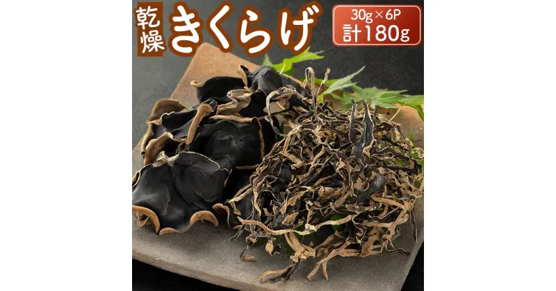 【ふるさと納税】乾燥きくらげ30g×6P 180g | 野菜 やさい きのこ きくらげ 食品 人気 おすすめ 送料無料