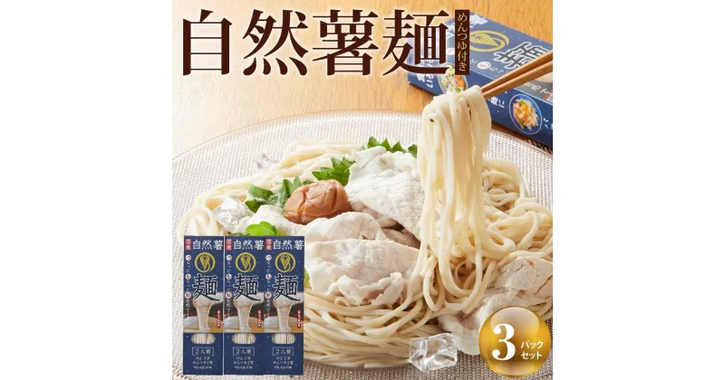 【ふるさと納税】自然薯麺 めんつゆ付き3パックセット | 麺 食品 加工食品 人気 おすすめ 送料無料