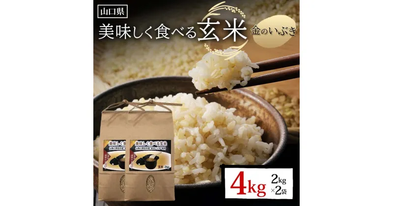 【ふるさと納税】＜先行予約＞美味しく食べる玄米 計4kg 2kg×2袋 玄米 金のいぶき 小分け 定期便 ご当地 グルメ 食品 F6L-638