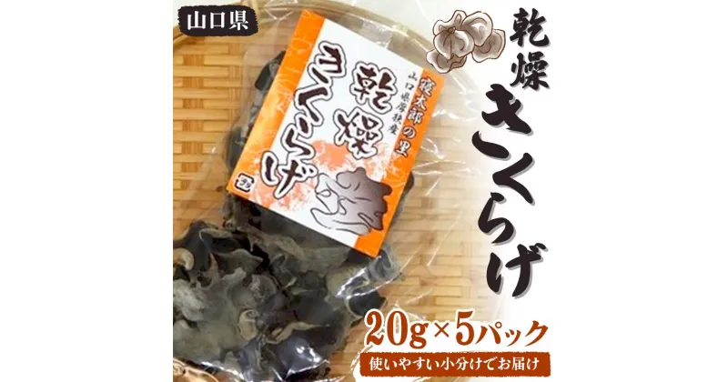 【ふるさと納税】使いやすい小分けでお届け 乾燥きくらげ 20g×5パック きくらげ 乾燥 小分け 乾物 料理 ご当地 グルメ 食品 F6L-650