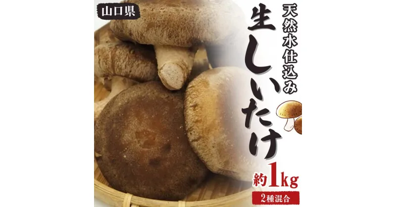 【ふるさと納税】天然水仕込み生しいたけ 2種混合 約1kg 農家直送 生しいたけ 椎茸 どんこ 混合 ミックス ご当地 グルメ 食品 F6L-655