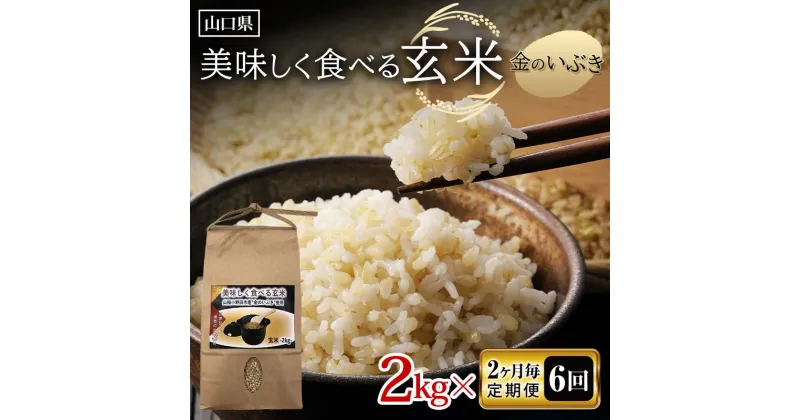 【ふるさと納税】＜先行予約＞《2ヶ月毎定期便 全6回》美味しく食べる玄米 2kg×6 計12kg 12月上旬より発送 玄米 金のいぶき 定期便 ご当地 グルメ 食品 F6L-636