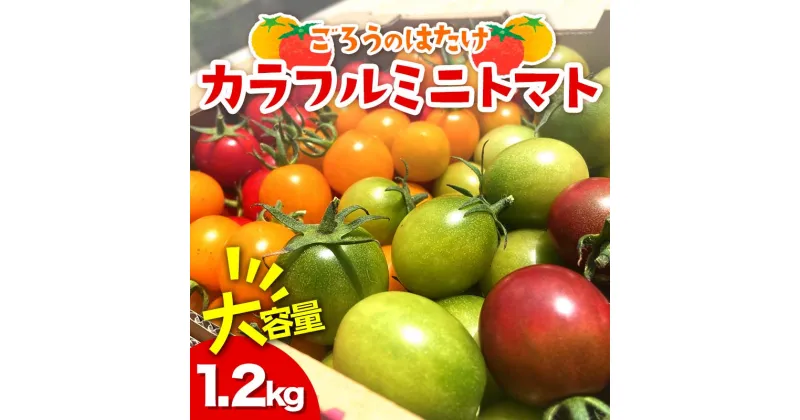 【ふるさと納税】大容量 ごろうのはたけ カラフルミニトマト 1.2kg 高糖度 濃厚 トマト サラダ 山陽小野田 F6L-646