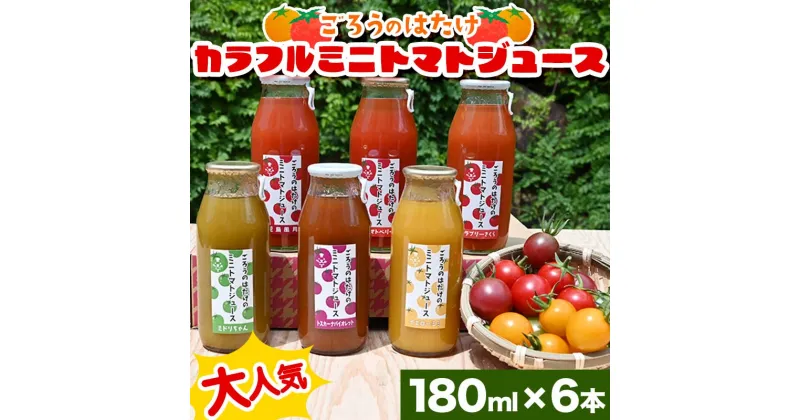 【ふるさと納税】大人気 ごろうのはたけ カラフルミニトマトジュース 180ml×6本 トマト カラフルトマト ミニトマト ジュース 野菜 ご当地 グルメ 飲料 ギフト 贈り物 F6L-648