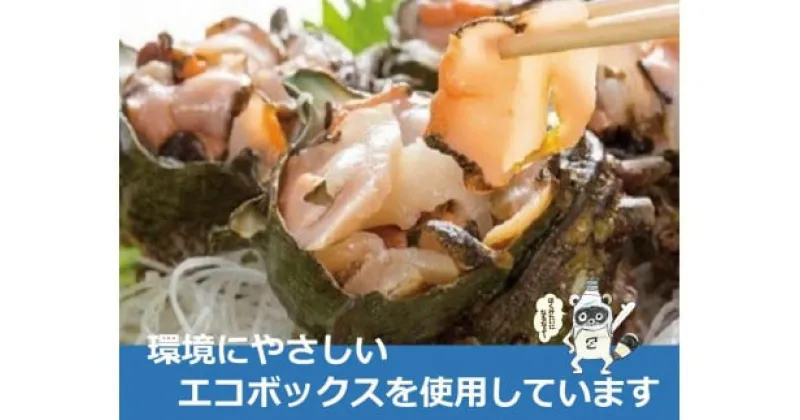 【ふるさと納税】 サザエ 周防大島産 べっぴんさざえ 天然活 刺身用 大サイズ 10個