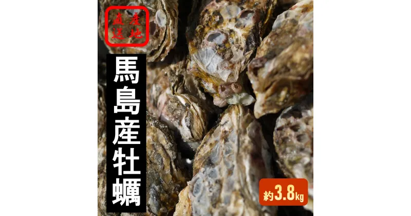 【ふるさと納税】馬島産　牡蠣（冬季限定）(D-4) ※2025年1月中旬～3月下旬頃に順次発送予定