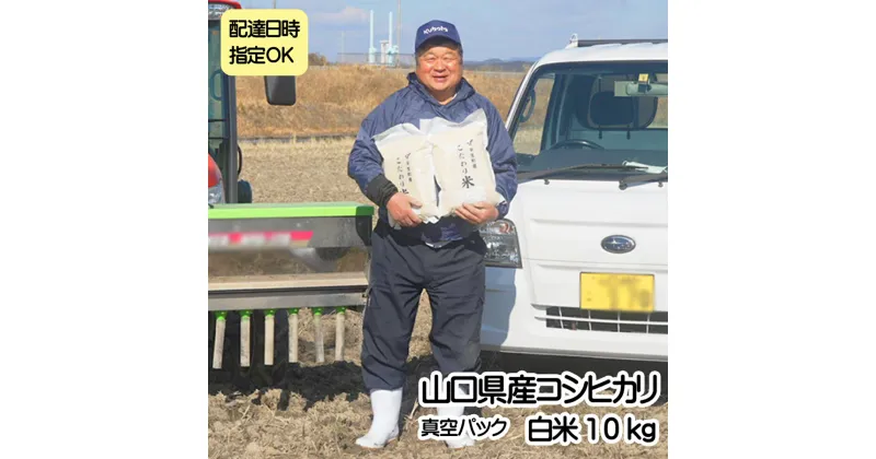 【ふるさと納税】 コシヒカリ 白米 10kg（5kg×2袋）　令和6年産米　真空パック　配達日指定可能　配達日指定可　真空パック