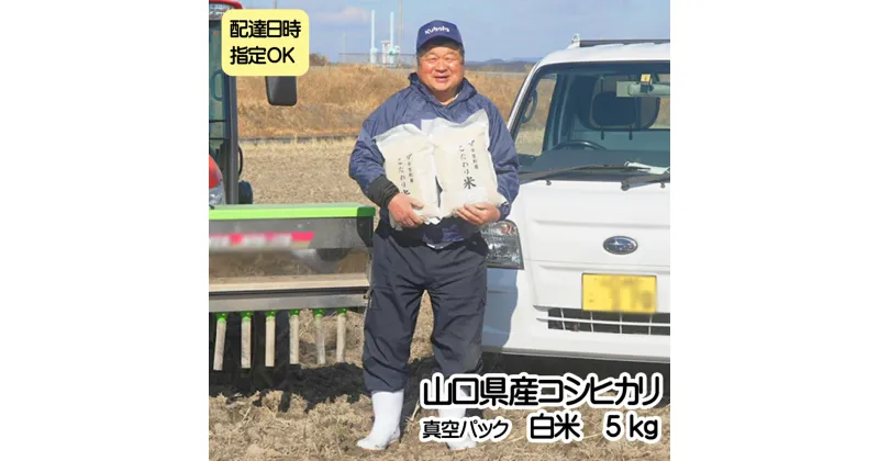 【ふるさと納税】【真空パック】コシヒカリ 白米 5kg　令和6年産　配達日指定可能　配達日指定可　真空パック