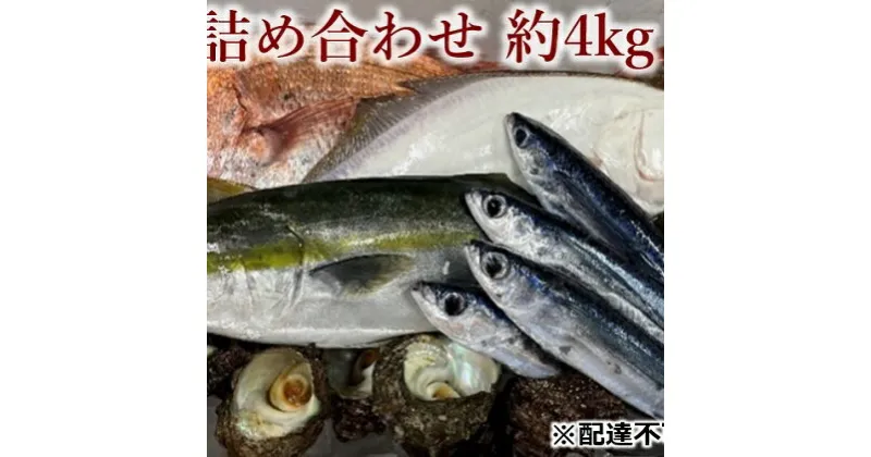 【ふるさと納税】旬の獲れたて鮮魚詰め合わせ 約4kg　【 魚の詰め合わせ 新鮮 新鮮魚介 獲れたて 旬の魚 海鮮 海産物 海の幸 】