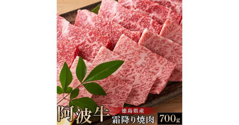 【ふるさと納税】阿波牛霜降り焼肉700g 牛肉 お肉 徳島 ブランド 黒毛和牛 和牛 国産 冷凍 ギフト 人気 おすすめ 国産牛 ブランド牛 美味しい | 牛肉 肉 にく 贈り物 贈答 プレゼント お取り寄せ グルメ 記念日 パーティ