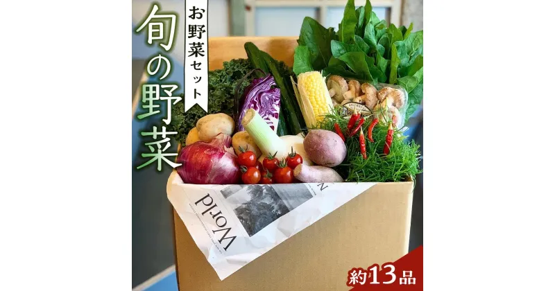 【ふるさと納税】野菜セット 旬の野菜 (約13品) | 季節 野菜 ボックス BOX セット セレクト 農家 おまかせ 多品目 旬 詰め合わせ 根菜 葉物 果物 旬の野菜 新米