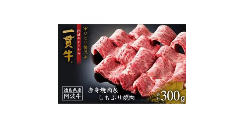 【ふるさと納税】阿波牛のきわみ「一貫牛」赤身焼肉＆しもふり焼肉300g 牛肉 お肉 徳島 ブランド 黒毛和牛 和牛 国産 冷凍 ギフト 人気 おすすめ 国産牛 ブランド牛 美味しい | 牛肉 肉 にく 贈り物 贈答 プレゼント お取り寄せ グルメ 記念日 パーティ