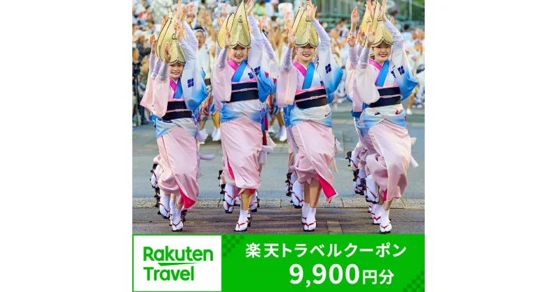 【ふるさと納税】徳島県徳島市の対象施設で使える楽天トラベルクーポン 寄付額33,000円 ホテル 旅館 宿泊予約 旅行 予約 宿泊 連泊 国内 旅行クーポン 宿泊券 旅行券 チケット 春 夏 秋 冬 ビジネス