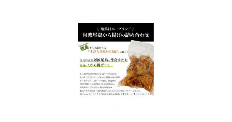 【ふるさと納税】すだち香る 阿波尾鶏から揚げ (500g) | 唐揚げ 揚げ物 おかず 惣菜 おつまみ 鶏肉 肉 徳島 人気 おすすめ 送料無料