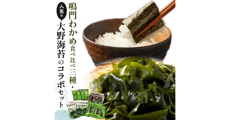 【ふるさと納税】鳴門わかめ食べ比べ三種、人気の大野海苔のコラボセット | 藻 魚介類 水産 食品 海鮮 海産 海苔 のり 詰め合わせ 詰合せ 小分け 味噌汁 酢の物 サラダ 簡単調理 手軽 人気 おすすめ 送料無料 乾燥わかめ 海の幸 徳島