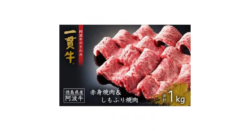 【ふるさと納税】一貫牛 赤身焼肉＆しもふり焼肉 1kg牛肉 お肉 徳島 ブランド 黒毛和牛 和牛 国産 冷凍 ギフト 人気 おすすめ 国産牛 ブランド牛 美味しい | 牛肉 肉 にく 贈り物 贈答 プレゼント お取り寄せ グルメ 記念日 パーティ