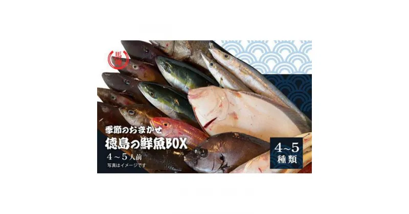 【ふるさと納税】その日のセリの一番魚お届けBOX　4人前（下処理済み）