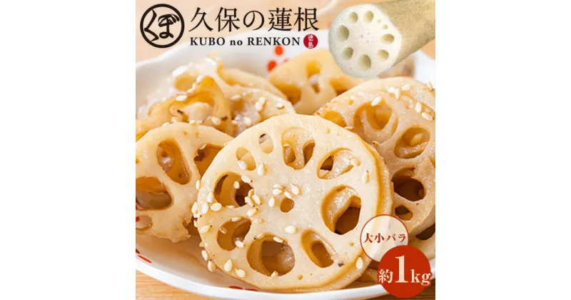 【ふるさと納税】【期間限定】大小バラ 蓮根 約1kg | 野菜 やさい レンコン れんこん 蓮根 根菜 産地直送 人気 おすすめ 徳島 送料無料