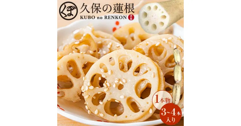 【ふるさと納税】【期間限定】蓮根 1本物 3～4本入り | 野菜 やさい レンコン れんこん 蓮根 根菜 産地直送 人気 おすすめ 徳島 送料無料