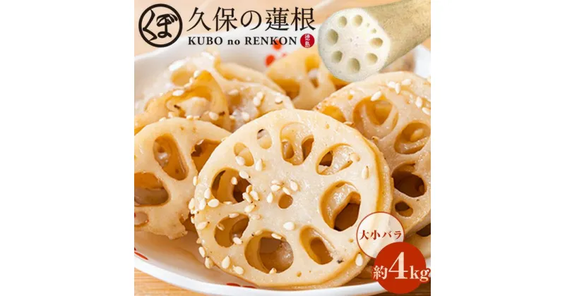 【ふるさと納税】【期間限定】大小バラ 蓮根 約4kg | 野菜 やさい レンコン れんこん 蓮根 根菜 産地直送 人気 おすすめ 徳島 送料無料