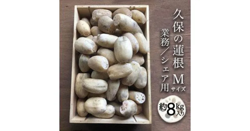 【ふるさと納税】【期間限定】蓮根 業務・シェア用「Mサイズ」約8kg入 | 野菜 やさい レンコン れんこん 蓮根 根菜 産地直送 人気 おすすめ 徳島 送料無料