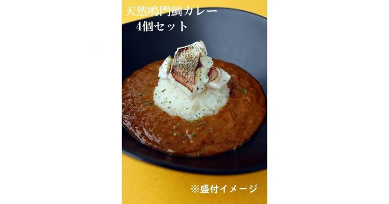 【ふるさと納税】天然鳴門鯛カレー　4個セット | 食品 加工食品 人気 おすすめ 送料無料