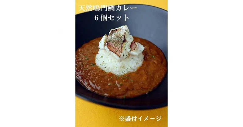 【ふるさと納税】天然鳴門鯛カレー　6個セット | 食品 加工食品 人気 おすすめ 送料無料