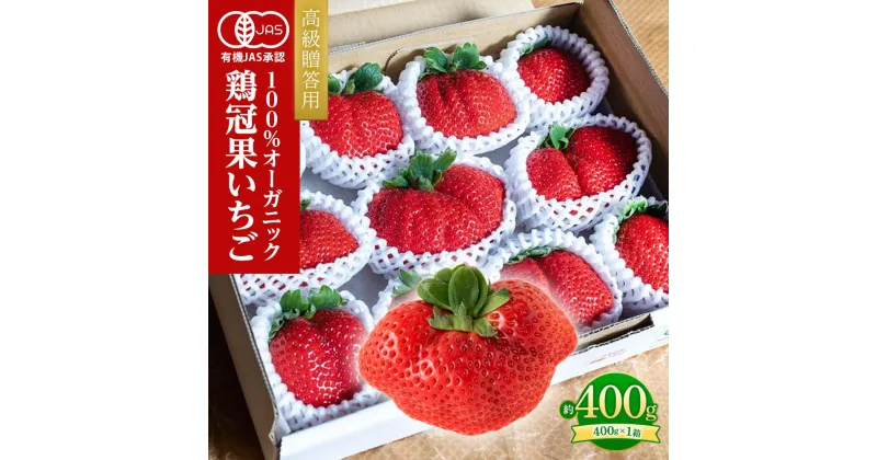 【ふるさと納税】とくしまオーガニックいちご 鶏冠果いちご(約400g) 先行受付【2025年2月より順次発送】 | フルーツ 果物 くだもの 食品 人気 おすすめ