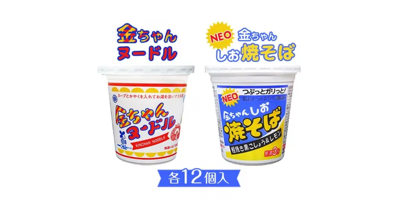 【ふるさと納税】金ちゃんヌードル1箱（12個）＋金ちゃんNEOしお焼きそば1箱（12個） | 麺 食品 加工食品 人気 おすすめ 送料無料