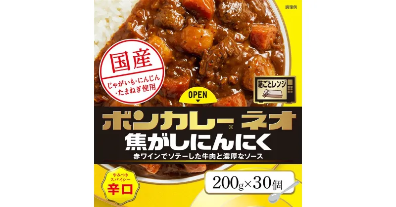 【ふるさと納税】ボンカレーネオ 焦がしにんにくやみつきスパイシー 辛口 (200g×30個) | インスタント レトルトカレー レトルト カレー 非常食 保存食 長期保存 防災食 備蓄食 災害用品 災害用保存食 防災グッズ 防災用品