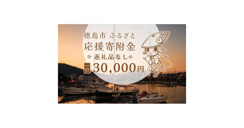 【ふるさと納税】【返礼品なし】徳島市　応援寄附金（一口30000円） | 支援 寄附 寄付 応援