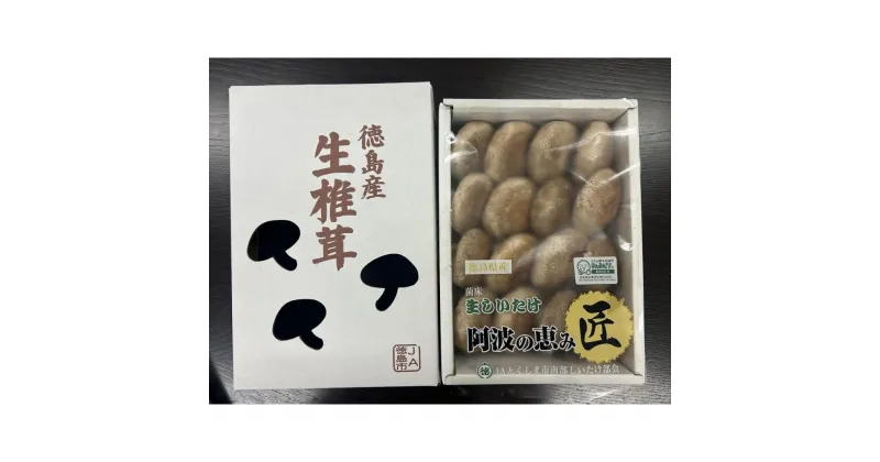 【ふるさと納税】徳島県産 生しいたけ 1箱(12個～16個）