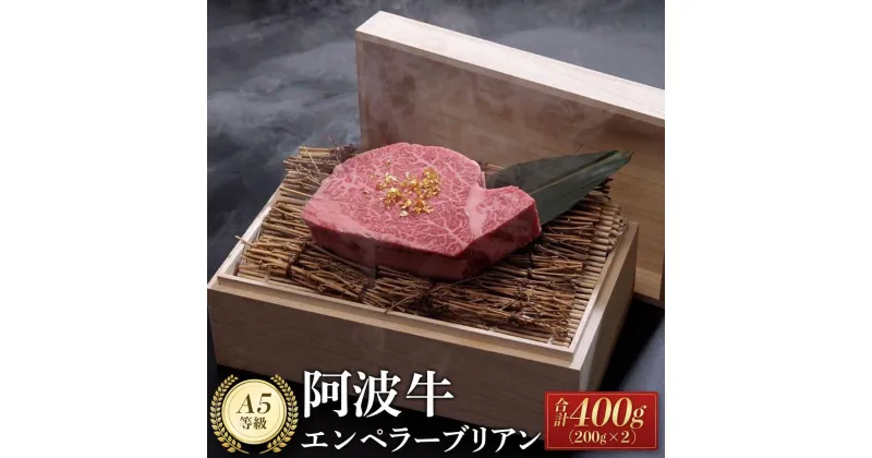 【ふるさと納税】阿波牛エンペラーブリアン（200g×2）A5等級 | 肉 お肉 にく 牛肉 和牛 食品 徳島産 人気 おすすめ 送料無料 ギフト