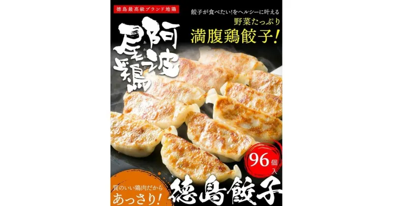 【ふるさと納税】阿波尾鶏　徳島餃子96個入 | 食品 加工食品 人気 おすすめ 送料無料