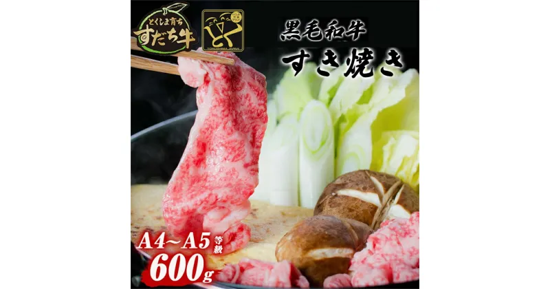 【ふるさと納税】 黒毛和牛 すだち牛 600g すき焼き用 ｜ 赤身 国産 牛肉 冷凍 お肉 グルメ ギフト 和牛 霜降り カット 小分け