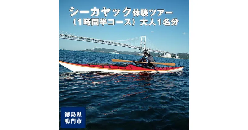 【ふるさと納税】徳島 の海を満喫！シーカヤック体験ツアー（1時間半コース）大人1名分 / 鳴門 マリンスポーツ 観光 四国