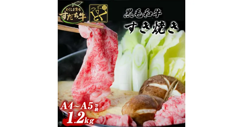 【ふるさと納税】黒毛和牛 すだち牛 1200g すき焼き用 ｜ 1.2kg 赤身 国産 牛肉 冷凍 お肉 グルメ ギフト 和牛 霜降り カット 小分け